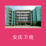 安徽省安庆卫生学校标志