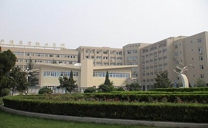 郑州绿野科技中等专业学校标志
